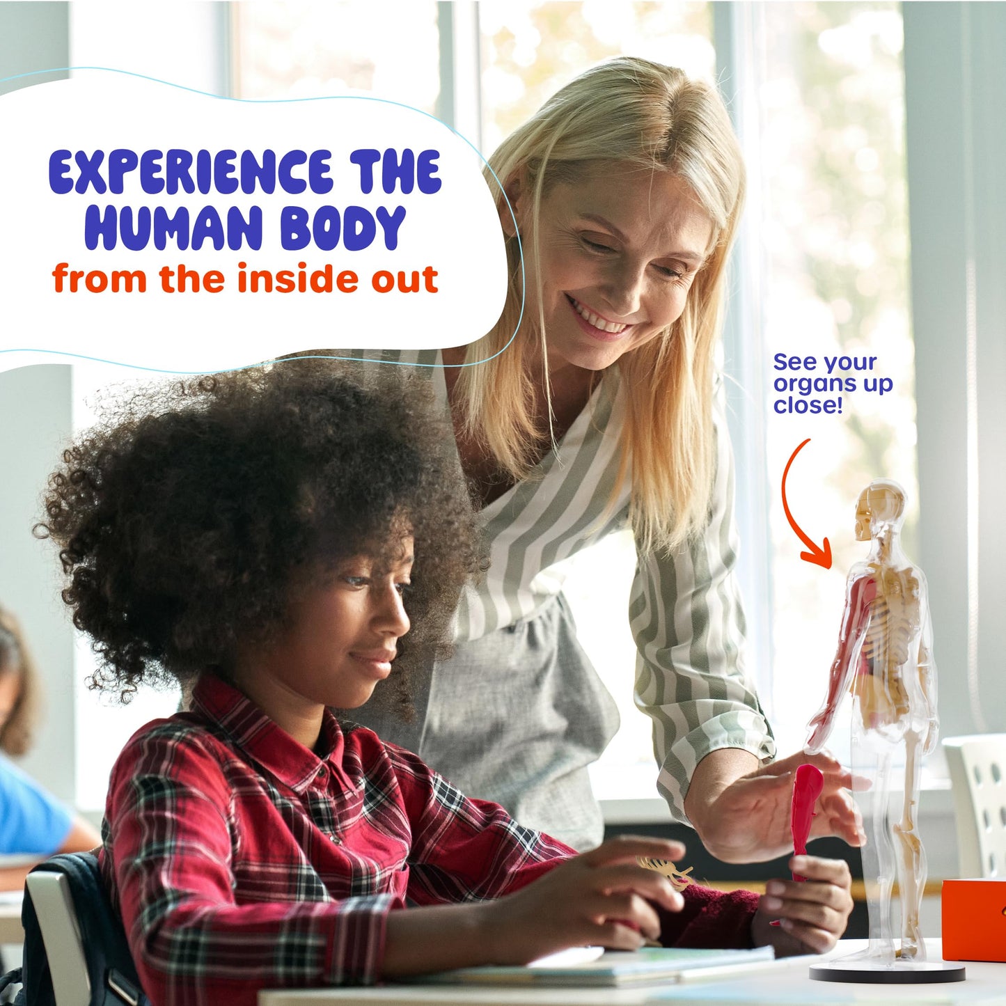 Dan&Darci Human Anatomy Squishy Body Model - Science Kits for Kids Ages 4-8 - STEM Toys for 4 5 6 7 8 Year Old Boy Birthday Gift - Learning Educational Toys for Ages 5-7 Boys Gifts - Skeleton Parts