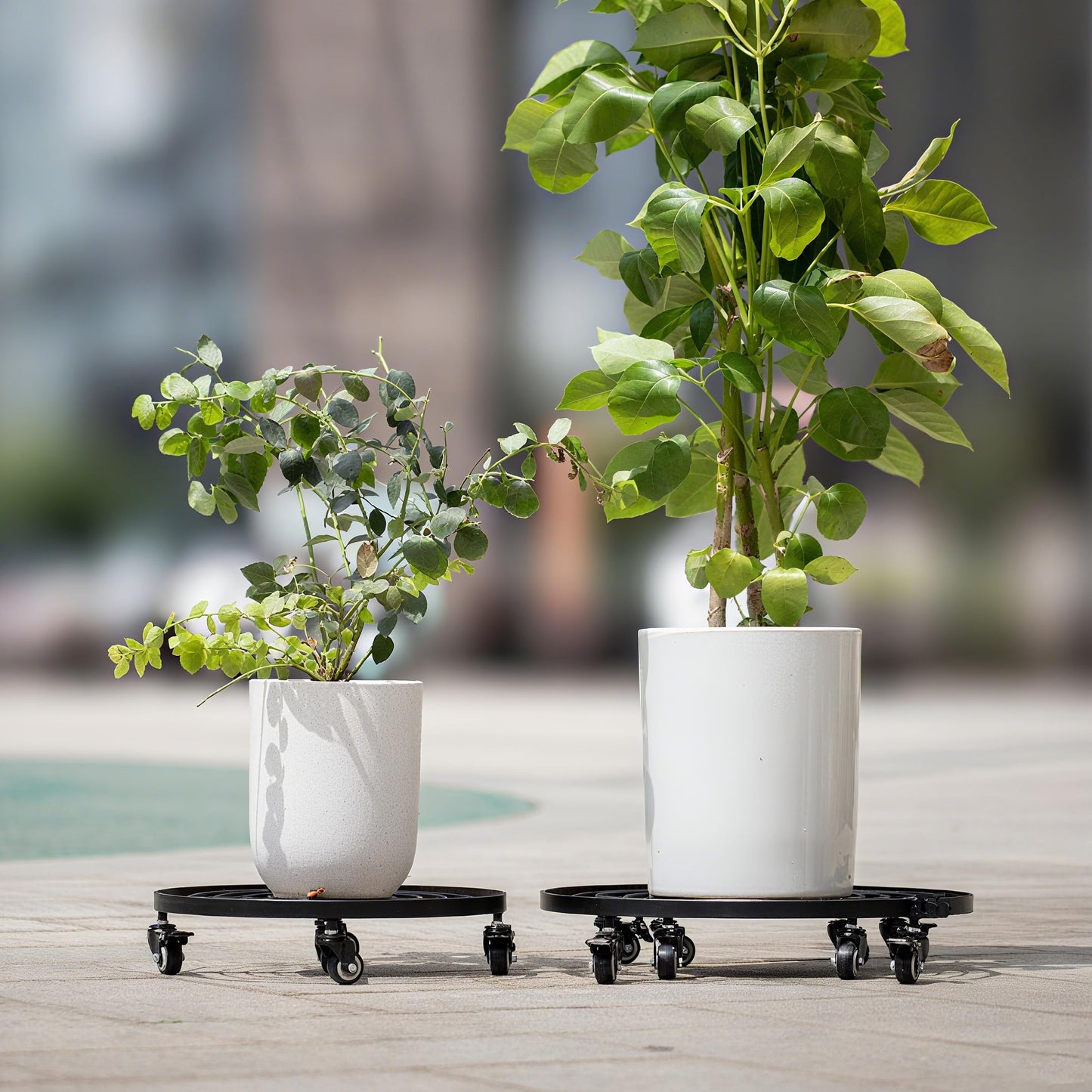 Goooxim 22 Inch Plant Rollers with Wheels - Heavy Duty Steel Round Dolly for Easy Indoor/Outdoor Movement, Removable Handle & 360° Swivel Wheels, Perfect for Large Pots, Planters & Trees