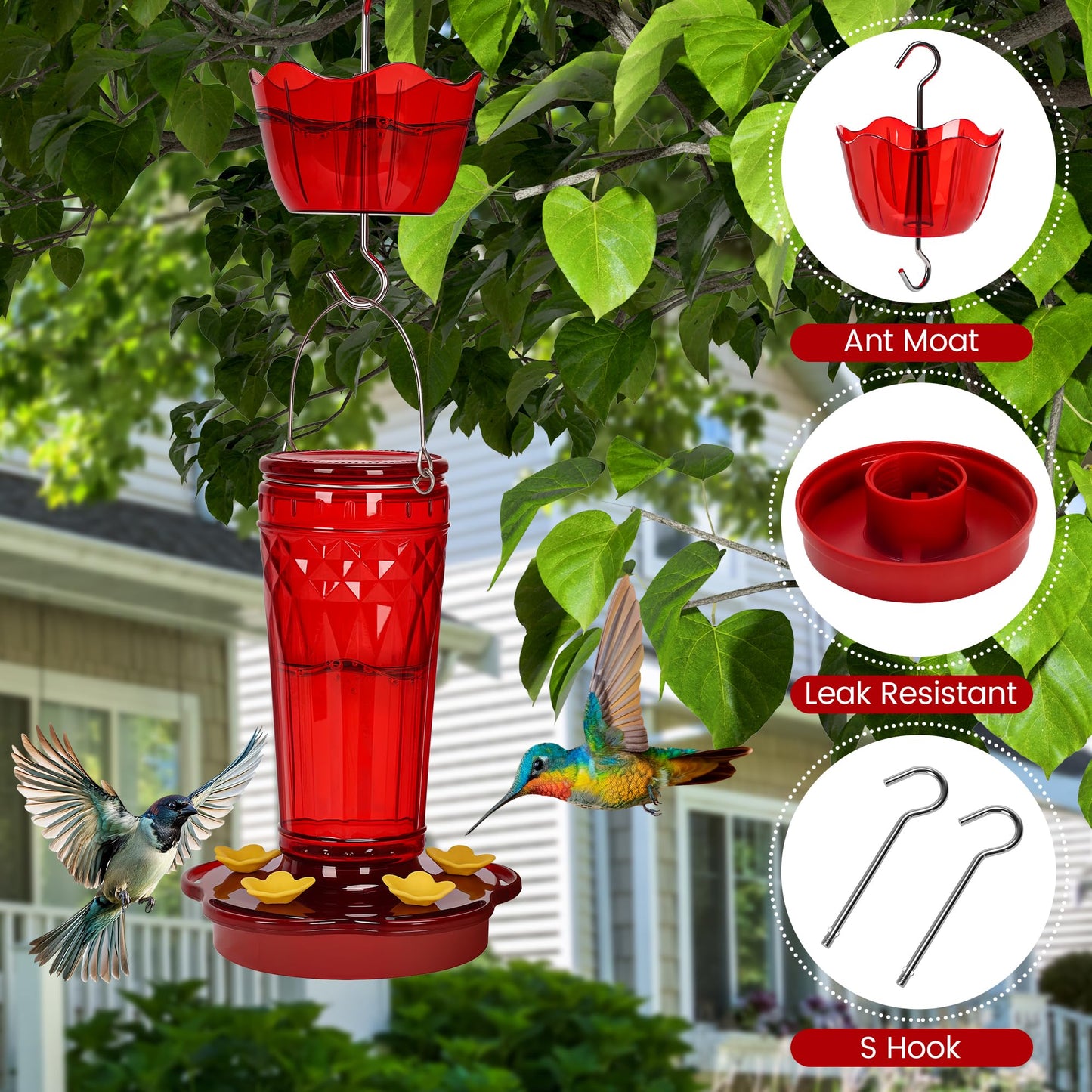 Zamelane Glass Hummingbird feeders for Outdoors 2pack-14Ounces,5 Feeding Ports Hummingbird Feeder,Wide Mouth for Easy Filling/Cleaning,Hanging for Garden Backyard Decor, Includes Ant Moat (Red,2Pack)