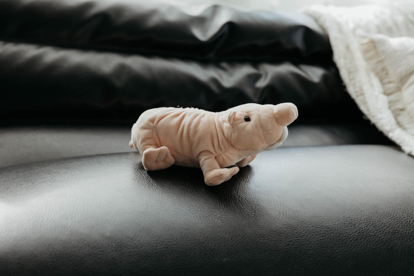 The Petting Zoo Naked Mole Rat Stuffed Animal Plushie, Gifts for Kids, Wild Onez Wildlife Animals, Mole Rat Plush Toy, 9 inches