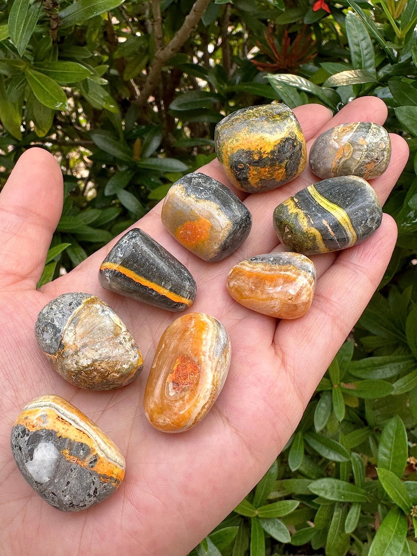 GAF TREASURES 5 Pcs Bumble Bee Jasper Tumbled Stones, Polished Bumble Bee Jasper Gemstone, Bumble Bee Jasper Healing Crystals (Bumble Bee Jasper)