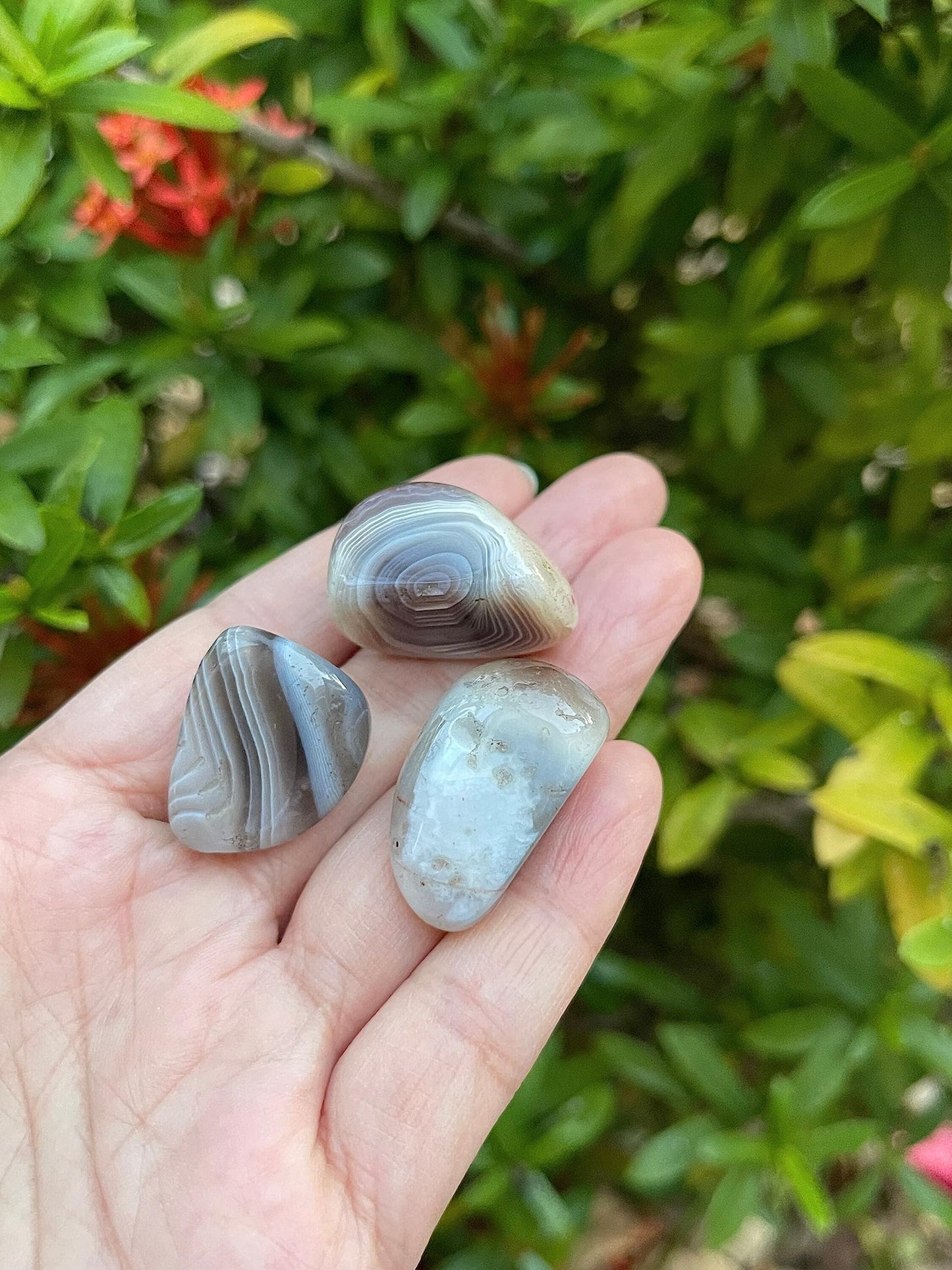 GAF TREASURES 5 Pcs Botswana Agate Tumbled Stones, Polished Natural Botswana Agate Gemstone, Botswana Agate Healing Crystals (Botswana Agate)