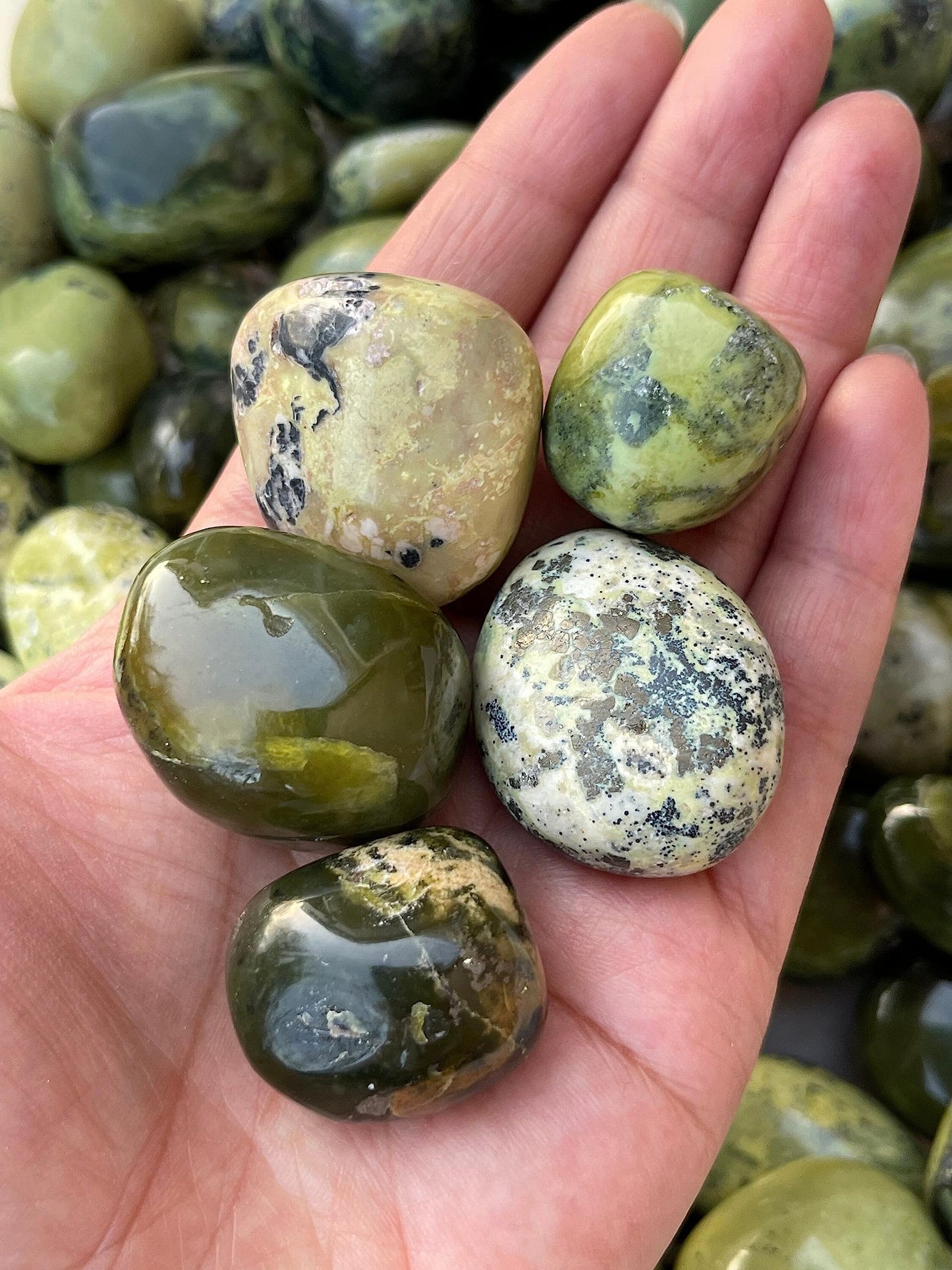 WHOLESALE Serpentine Tumbled Stones, Polished Serpentine Gemstone, Serpentine Polished Rocks (Serpentine, 0.25 Pound)
