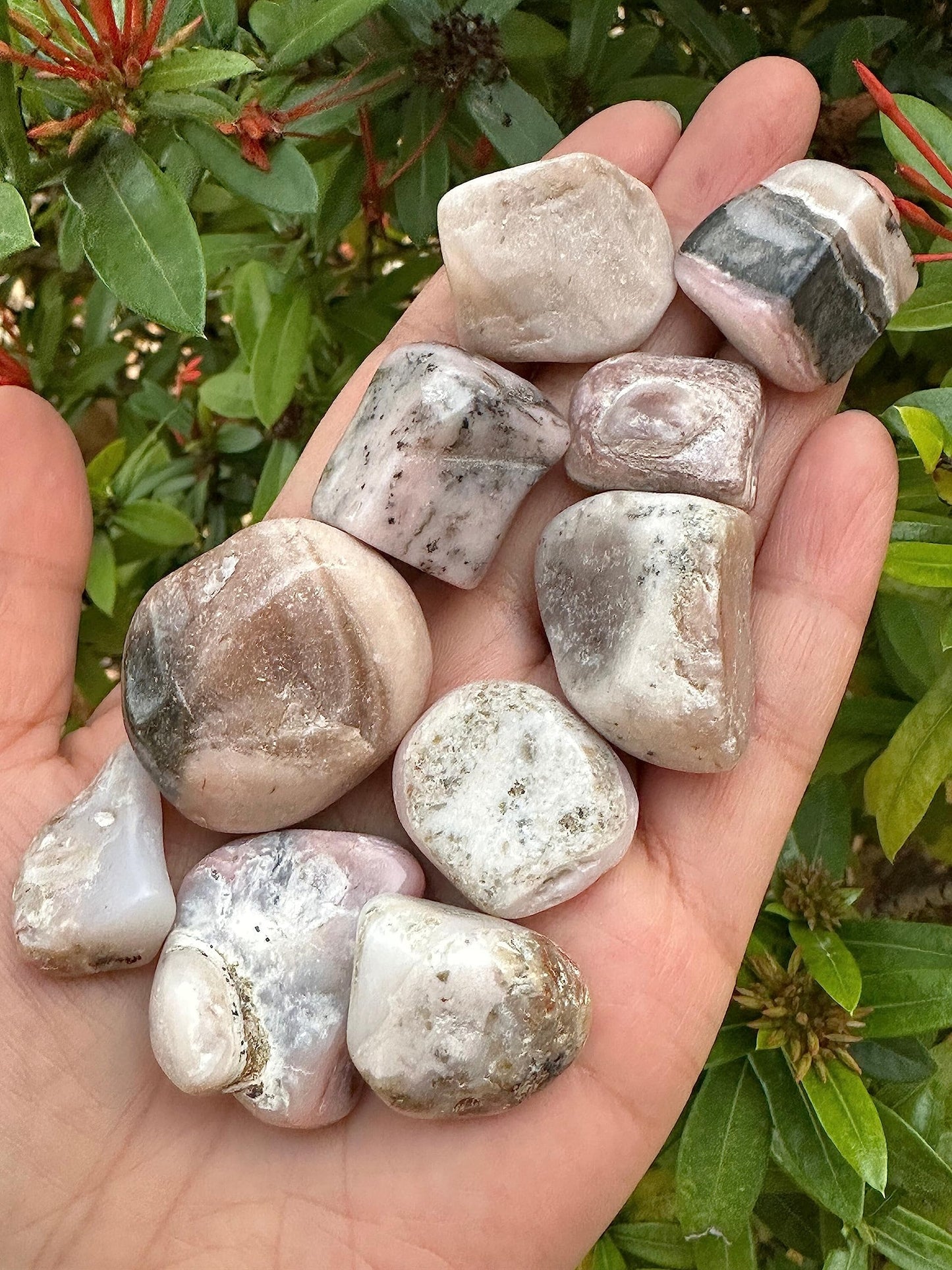 GAF TREASURES 5 Pcs Pink Opal Tumbled Stones, Polished Pink Opal Gemstone, Pink Opal Healing Crystals (Pink Opal)