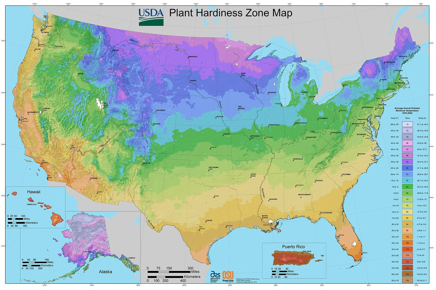 Van Zyverden Elephant Ears Lava Bulbs (Set of 1), White, 831251