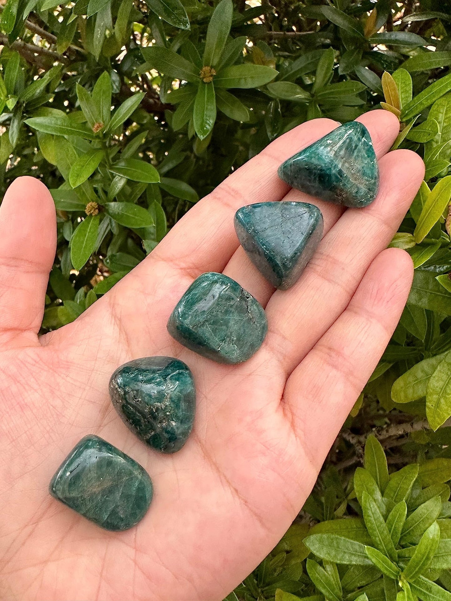 GAF TREASURES 5 Pcs Apatite Tumbled Stones, Polished Apatite Gemstone, Apatite Healing Crystals (Apatite)