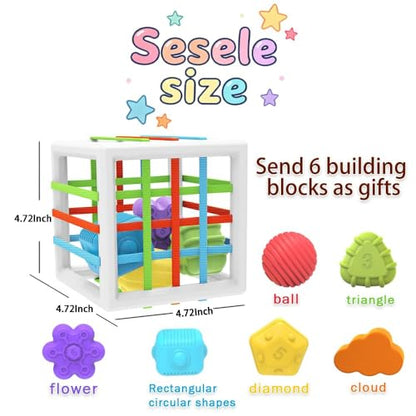 EasierLTtoys Suitable for 1-Year-Old Babies, 6-piece Multi-Sensory Shape Toys, Early Childhood Development Learning Birthday Gift, 12-Month Baby Toys