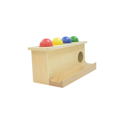 LEADER JOY Montessori Toddlers Wooden Push Ball Toys Baby Preschoolers Toys Push Toys Multicolored