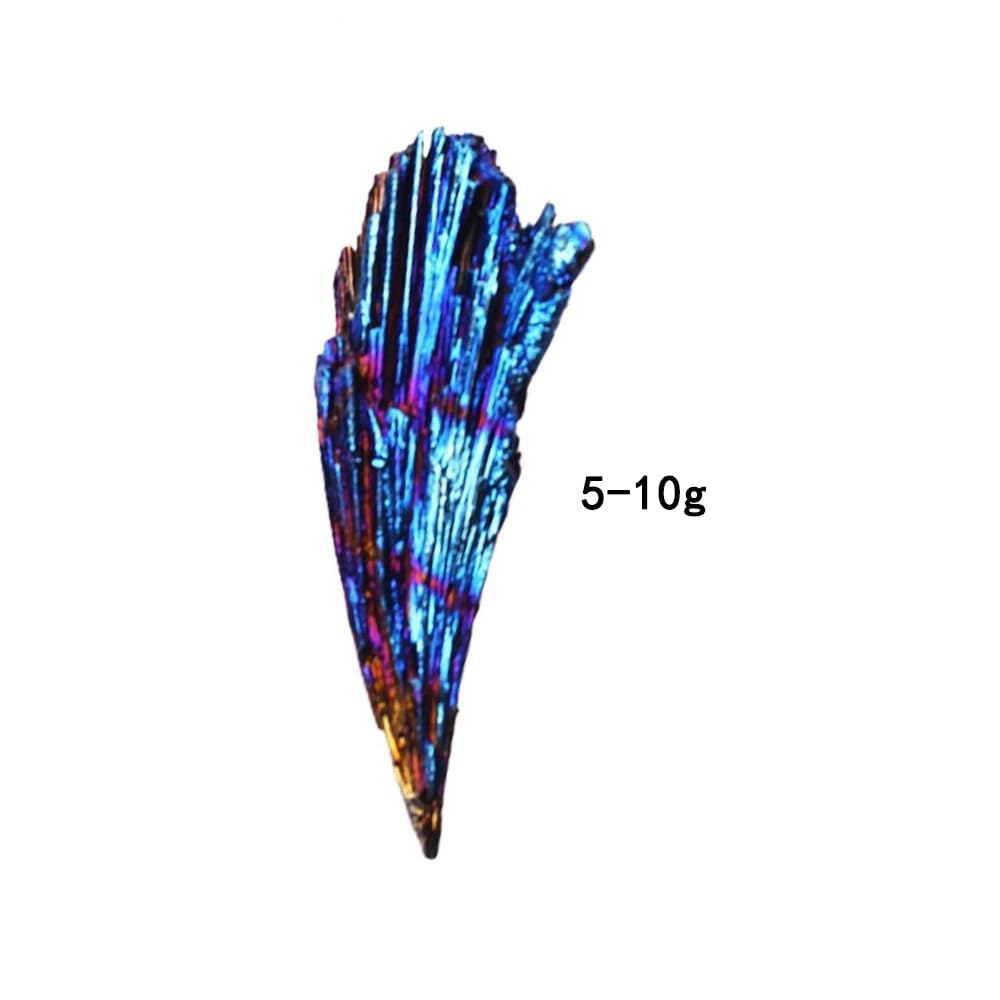 zaoalife Natural Healing Reiki Tourmaline Raw Stone Black Tourmaline Feather Rough Energy Mineral Reiki Healing Stone Real Trilobite for Collections