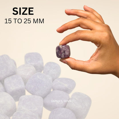 Karma Gems Lepidolite Tumbled Stones Natural Crystal Kit for Reiki Healing Crystal Polished, Tumble Stones, Chakra Balancing, Reiki Gift, Home Decor (15-25 MM)
