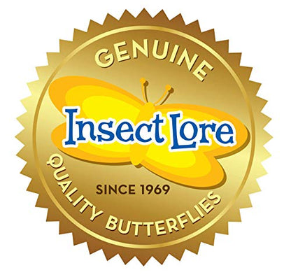 Insect Lore Raise and Release Butterfly Garden Kit – Caterpillar Habitat with redeemable Voucher – STEM-accredited Butterfly Growing Kit for Kids, Classrooms, and Homeschool Learning