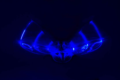 Duncan Toys Dragon Hawk Light-Up Flying Bird - Day/Night Motorized Toy with Shake Auto Start, USB Charger, 2 Flight Positions