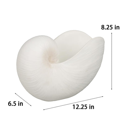 Braxio Modern Home Decor Sea Shell - Beach Themed Statue Resin Conch Shape Dish for Keys, Rings, or Succulent Planter - Coastal Decorative Bowls for Bathroom, Living Room, 12.25 x 6.25 x 8.25 Inch