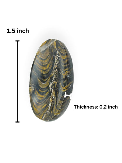 GEMSCITE Stromatolite Thumb Worry Stones Metaphysical Gemstone Crystal Healing Reiki Men Women Gift FENG Shui Positive Energy Love Wellness Palm Stones Wicca Powerful