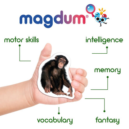 Fridge Magnets for Toddlers - Magdum - 110 Set Zoo+Farm+Fruit+Vegetable+Transport - Real Magnetic Animals for Refrigerator - Realistic Magnets for Kids - Learning Toy Set - Baby Educational Gift