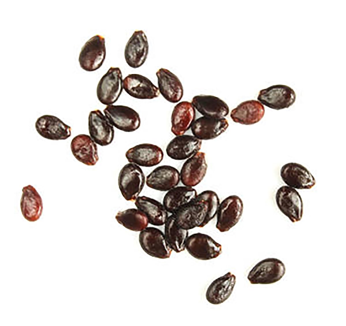 Jubilee Heirloom Watermelon Seeds