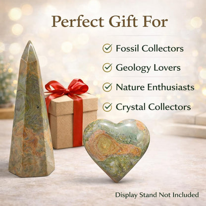 Crystal Healing Nature stromatolite Fossil Gemstone, 1.8 Billion Year Old Natural Algae Ancient Stone, Teardrop-Shaped Stromatolite Fossil for Zen Decor and Stress Relief Gift.