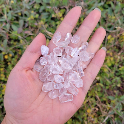 1,000 Carats Clear Quartz Handpicked Tumbled Stones Crystals Chips 0.2''-0.5'' Bulk Pocket Stones for Healing, Reiki, Meditation, Witchcraft and Home Decorations (Clear Quartz)