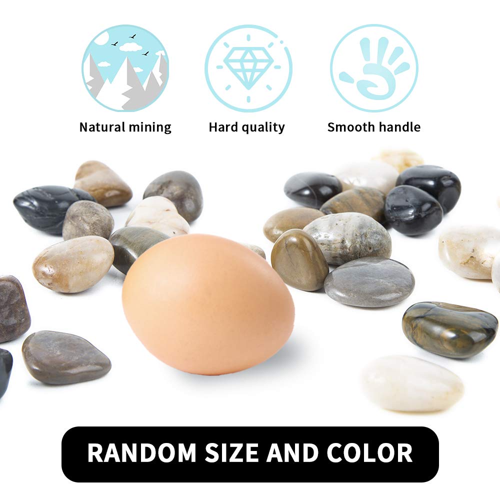 OUPENG Pebbles Polished Gravel, Natural Polished Mixed Color Stones,0.5-1.2inch Small Decorative River Rock Stones 2 Pounds (32-Oz)