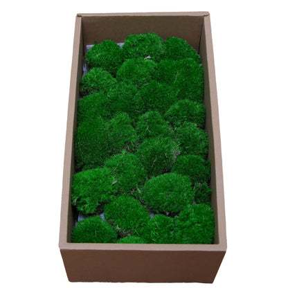 Cigarlemon Preserved Moss for DIY Crafts - 1.5 sq.ft Natural Dried Moss for Terrarium, Fairy Garden, Home Decor, Wall Art, Floral Arrangements - Flexible Real for Creative Projects, Dark Green