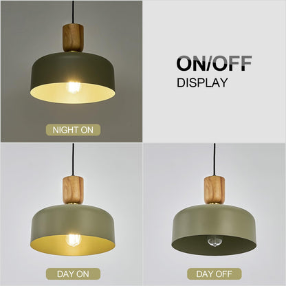 Contemporary Pendant Lighting,12 inch Pendant Lamp,Wood and Brass Accent,Adjustable Metal Hanging Light Fixture for Kitchen, Dining Room, Green