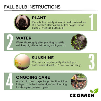 Constellation Caladium Bulbs for Planting - Perennial Hosta, Elephant Ears, Fancy (10 Bulbs)