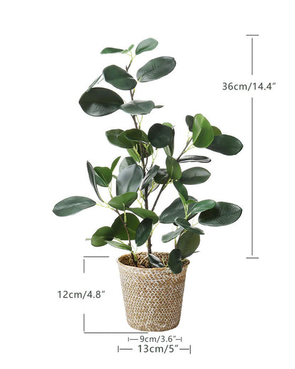 SAROSORA Artificial Ficus Tree Small Fake Plants in Weaved Pot 20" Height for Living Room Desktop Decor Indoor Home Office Ins Style (Green, 1)