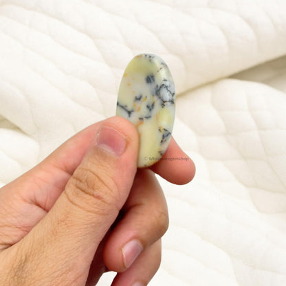 GEMSCITE Dendrite Agate Thumb Worry Stones Metaphysical Gemstone Crystal Healing Reiki Men Women Gift FENG Shui Positive Energy Love Wellness Palm Stones Wicca Powerful