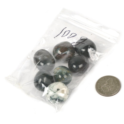 Justinstones 100 Grams Moss Agate Tumbled Polished Natural Crystal Healing Pocket Stones Rock Collection