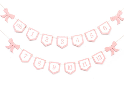 Pink Bow Monthly Milestones Photo Banner - Baby Girls Newborn to 12 Months Photo Display, 1st Birthday Photo Banner for Baby Girls, Bow 1st Birthday Decorations