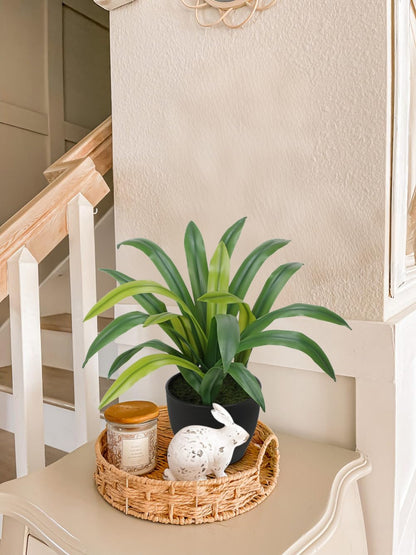 Hollyone Artificial Cymbidium Leaves Plants 13.7" Fake Spiked Agave Plant in Black Pot Faux Succulent Aloe Tropical Plants for Indoor Outdoor Modern Home Table Office Living Room Desk Decor