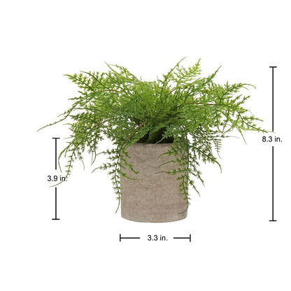 Briful Small Fake Plant Potted Plants Artificial Decor Plastic Asparagus Ferns Plant Faux Plants in Pots for Home Living Room Bedroom Desk Shelf Farmhouse Decoration
