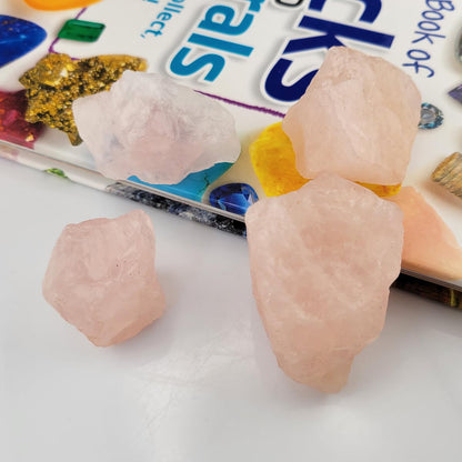 3-5Pcs Rose Quartz Natural Raw Crystals 1''-2'' Rough Stones Rocks for Tumbling Polishing Cabbing Gemstones Crystals and Healing Stones for Wicca Reiki,Fountian Rocks for Decorations (Rose Quartz)