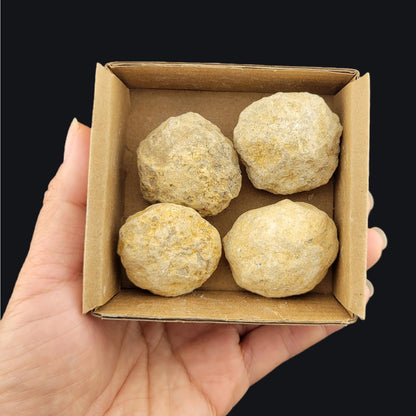 3-5Pcs Mini Geodes 0.8''-1.2''Natural Raw Crystals Rough Stones Rocks for Tumbling Polishing Cabbing Gemstones Crystals and Healing Stones for Wicca Reiki,Fountian Rocks for Decorations (Geodes)