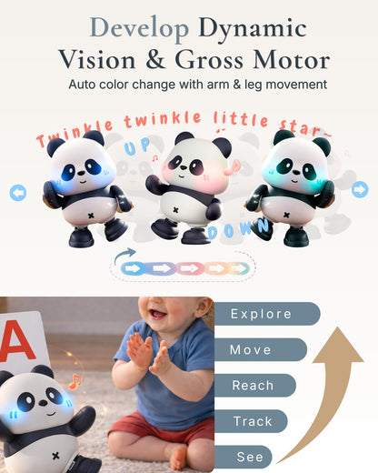 Cuddobaby Dancing Panda | 0-6M 6-12M Musical Toys, Changing Lights| Independent Tummy Time | Hands-Free High Contrast Flash Card Holder for Newborns, Crawling Encourage for Infants