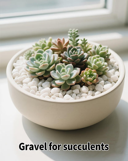 FAHAXIKI 12LB White Succulent & Cactus Gravel Pebbles - 1/4-3/8 Inch Natural Polished River Rocks, Decorative Stones for Plants, Terrariums, Vases, Aquariums & Outdoor Gardening