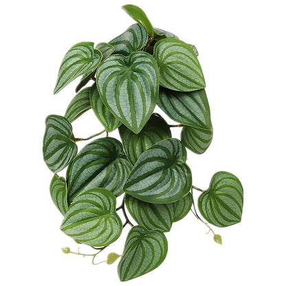 WOLEDOE Reptile Plants for Terrarium, Amphibian Habitat Decor Artificial Hanging Plants with Suction Cup - Fake Calathea Orbifolia