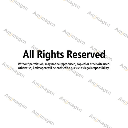 Amimagen Kids Equality Classroom Wall Stickers - Inspirational Positive Quotes Book Wall Decals - Baby Kids Room Daycare Playroom School Library Reading Wall Decor