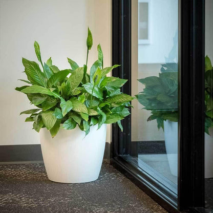 Greenline Manufacturing Memphis 18" Round Indoor Floor Planter Pot – Lightweight & Durable Plastic, Modern Design, Made in USA, Recyclable Large Plant Container for Home & Office Décor (Black)