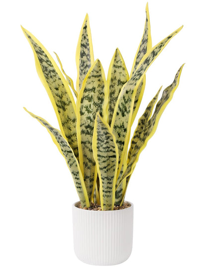 DUZYXI Artificial Realistic Snake Plant 21.5" with White Pot Fake Snake Plants Sansevieria Greenery Faux Snake Plant for Home Office Living Room Housewarming Gifts Indoor Decor-LightYellow