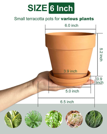 6 Inch Terracotta & Clay Plant Pots with Drainage Hole and Saucer- 4 Pack Medium Terra Cotta Pots for Indoor Outdoor Plants, Breathable Unglazed Classic Planter Pots for Succulents, Herbs, Flowers