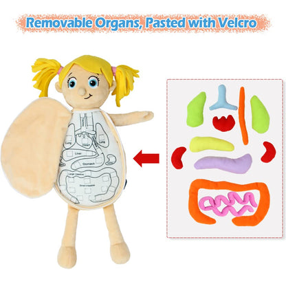 KAKIBLIN Human Body Model for Kids, Anatomy Toy, Human Body Organs, Preschool Educational Organ Plush Toys for Kids, Science Learning Kits,Organ Science Kits Sensory Toys for Boys Girls