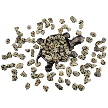 1,000 Carats Dalmation Jasper Handpicked Tumbled Stones Crystals Chips 0.2''-0.5'' Bulk Pocket Stones for Healing, Reiki, Meditation, Witchcraft and Home Decorations (Dalmation Jasper)