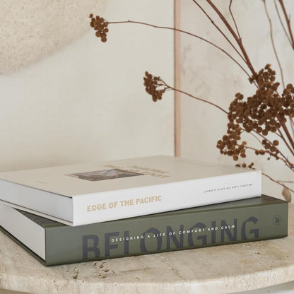 Beautiful Decorative Books - Set of 2 Boxes Enhance Your Coffee Table, Bookshelf or Mantel Shelf Decor - Aesthetic Fake/Faux Books for Modern Home Decoration, Photo Storage and as a Keepsake Box
