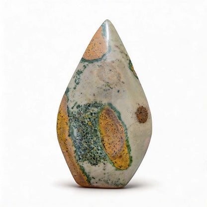 Crystal Healing Nature stromatolite Fossil Gemstone, 1.8 Billion Year Old Natural Algae Ancient Stone, Teardrop-Shaped Stromatolite Fossil for Zen Decor and Stress Relief Gift.