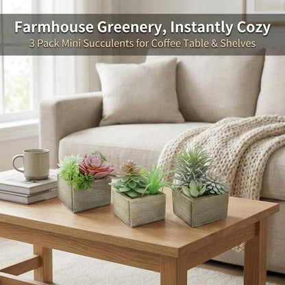 Succulent Plants Artificial, 3 Pack Small Fake Plants in Wood Pot for Home Decor, Farmhouse Artificial Plants Indoor for Living Room Bathroom Bedroom Office Kitchen Desk Wedding Coffee Table Decor