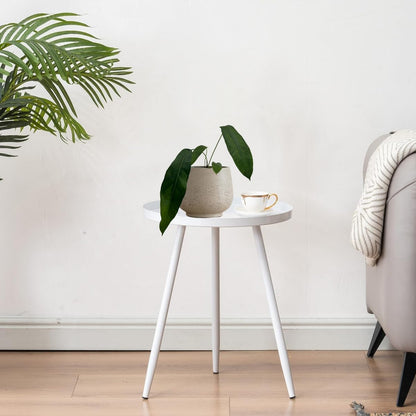LEAL PLANTS ECUADOR Anthurium Pendulifolio| Exotic Green Indoor House Plant | Tropical Amazon Plant for Living Room Decor | Easy-Care, Live Plant for Home or Office