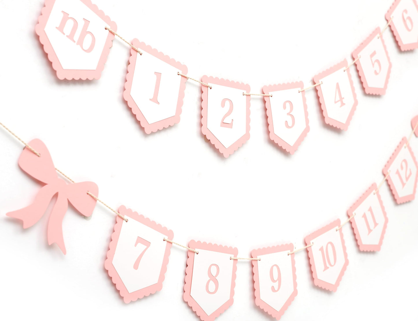Pink Bow Monthly Milestones Photo Banner - Baby Girls Newborn to 12 Months Photo Display, 1st Birthday Photo Banner for Baby Girls, Bow 1st Birthday Decorations