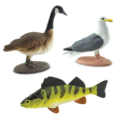 Safari Ltd. Great Lakes TOOB - Figurines of Mudpuppy, Dragonfly, Water Snake, Bat, Goose, Herring Gull, Blue Heron, Lynx, Sturgeon, Yellow Perch - Educational Toys for Boys, Girls & Kids Ages 3+