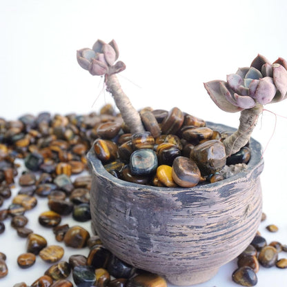 XMHOME 3 Pounds Bulk Tiger's Eye Tumbled Stones - Natural Polished Gemstones for Vase Filler, Jewelry Making, and Home Decoration